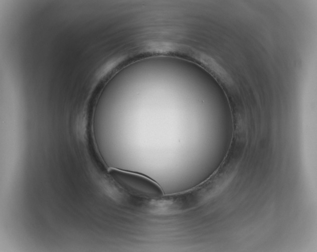 X0000111050440200907021623