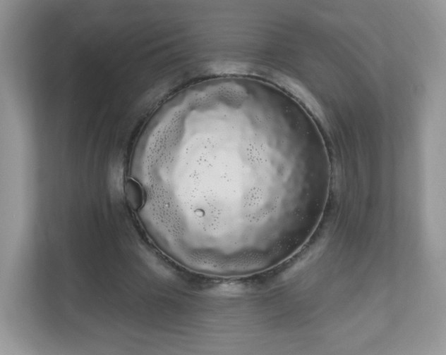 X0000111050441200907021623