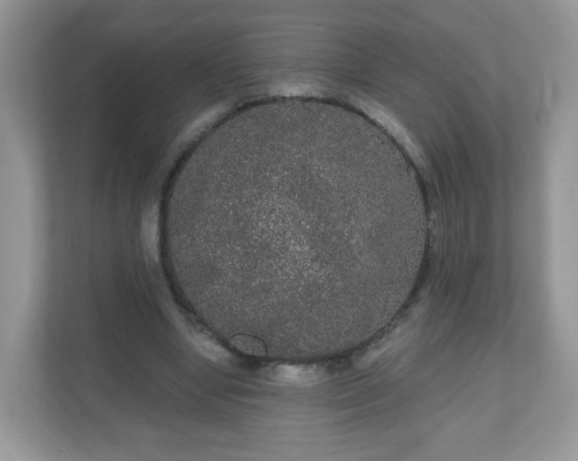 X0000111050442200907021623