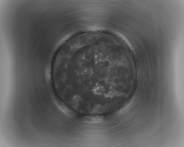 X0000111050443200907021623