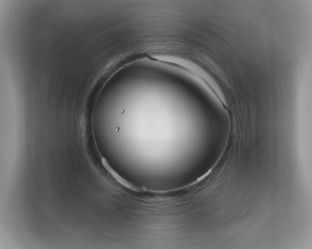 X0000111050444200907021623