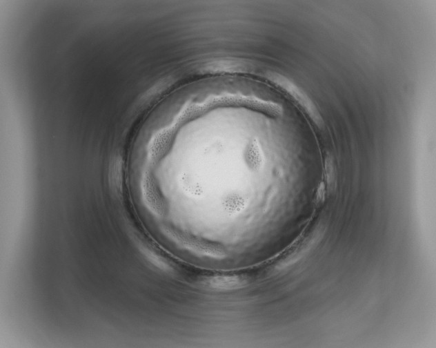 X0000111050445200907021623