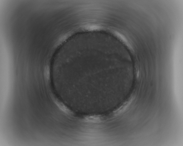 X0000111050447200907021623