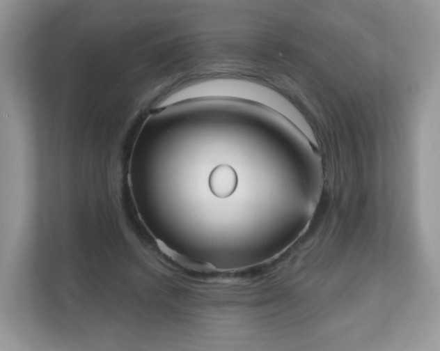 X0000111050448200907021623