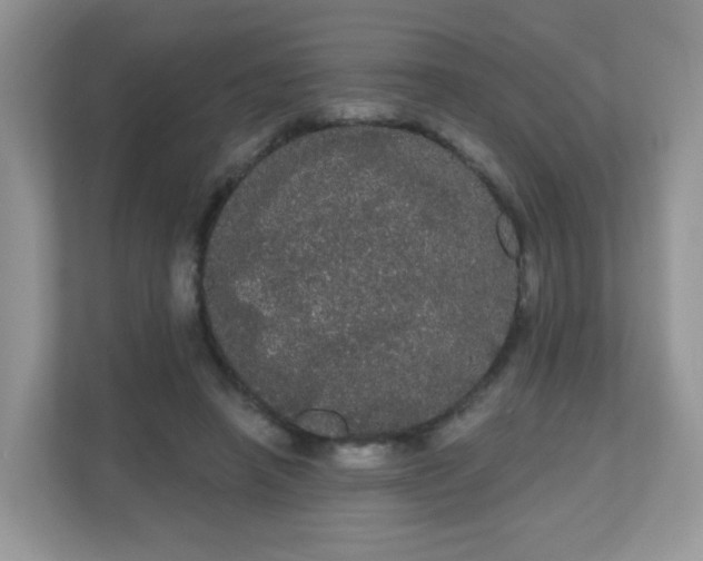 X0000111050450200907021623