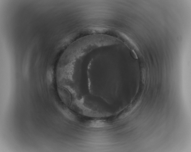 X0000111050451200907021623