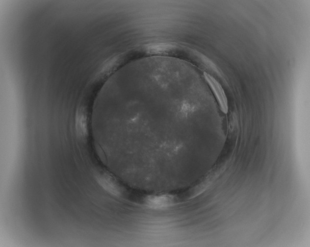 X0000111050452200907021623