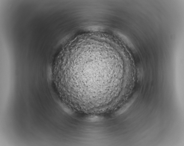 X0000111050453200907021623