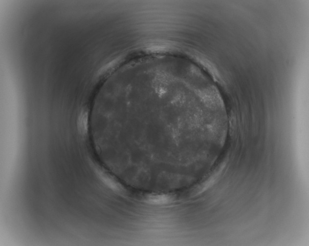 X0000111050454200907021623