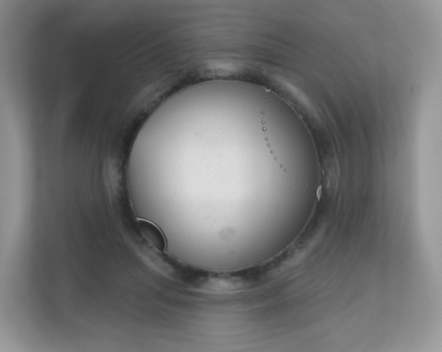 X0000111050455200907021623