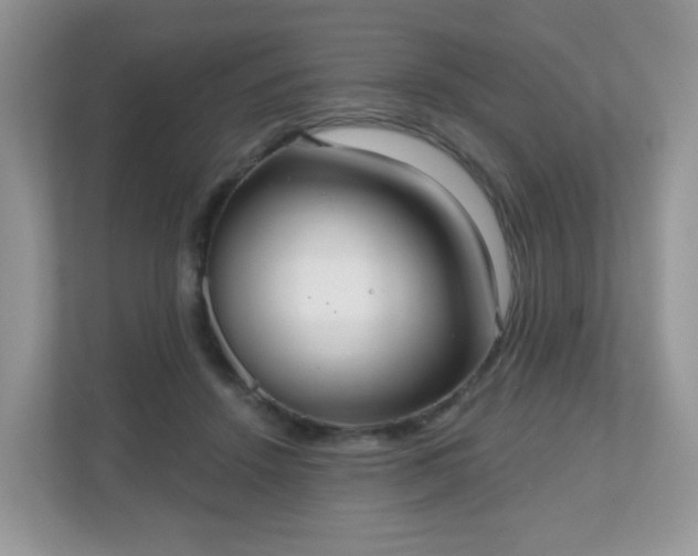 X0000111050456200907021623