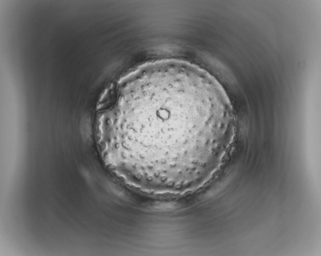 X0000111050457200907021623