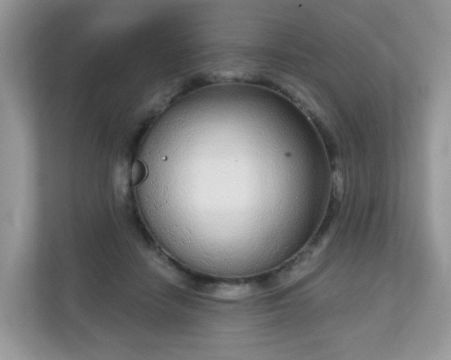 X0000111050458200907021623