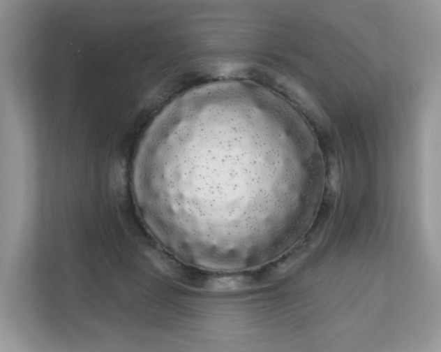 X0000111050461200907021623