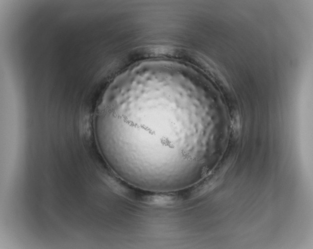 X0000111050462200907021623