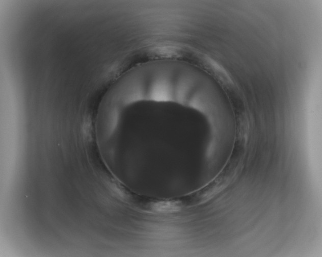 X0000111050465200907021623