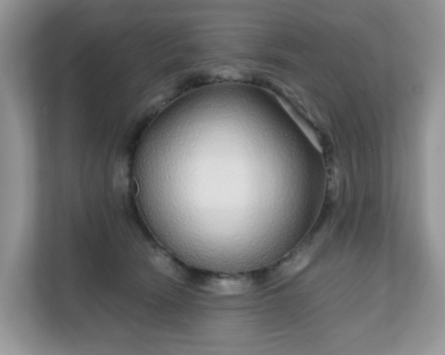 X0000111050466200907021623