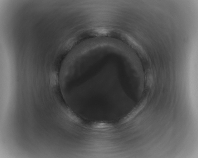 X0000111050467200907021623