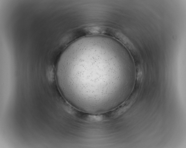 X0000111050469200907021623