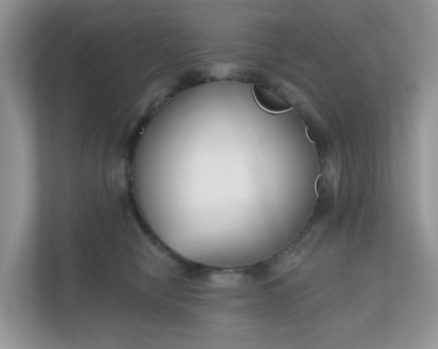 X0000111050470200907021623