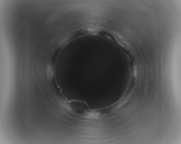 X0000111050471200907021623