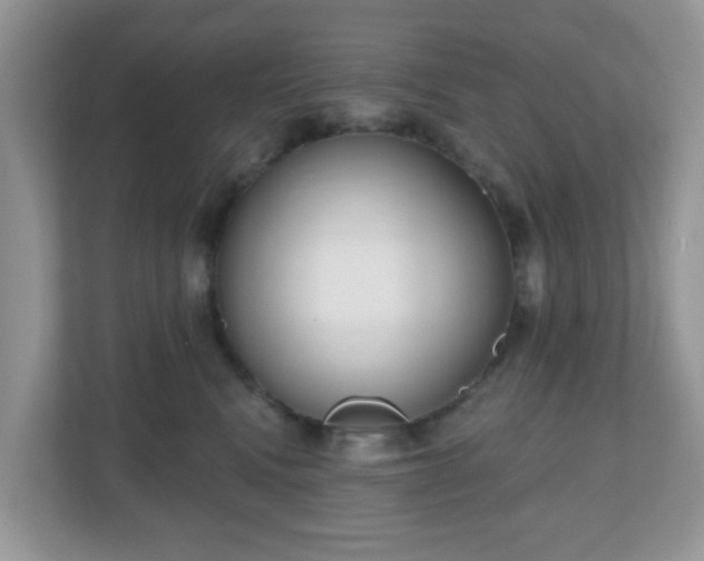 X0000111050472200907021623