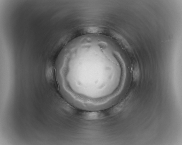 X0000111050473200907021623