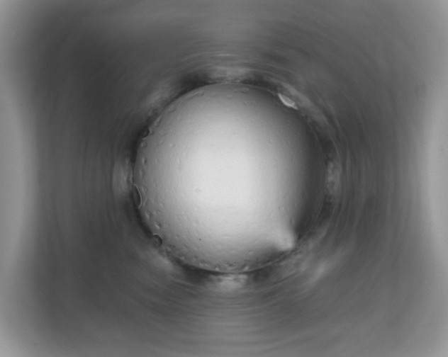 X0000111050474200907021623