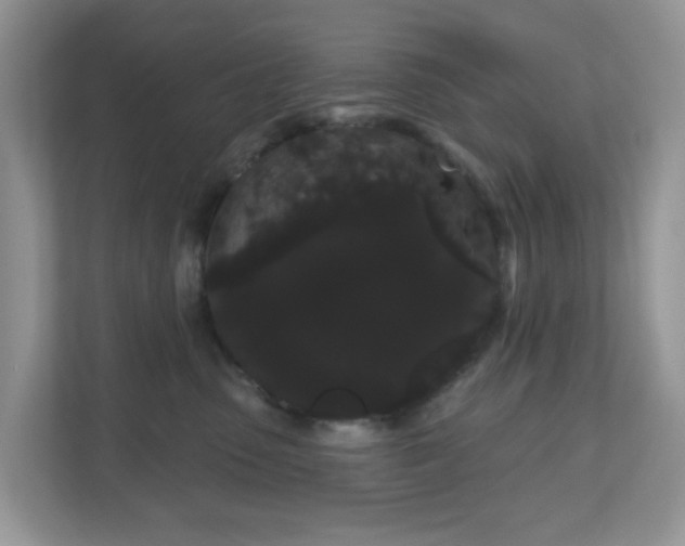 X0000111050475200907021623