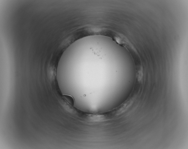 X0000111050476200907021623