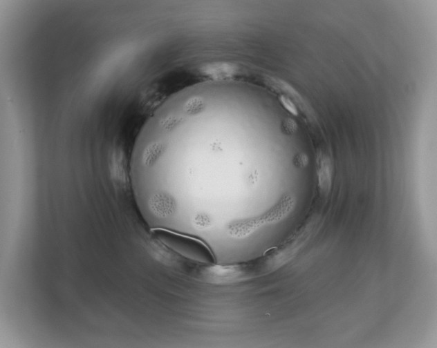 X0000111050477200907021623