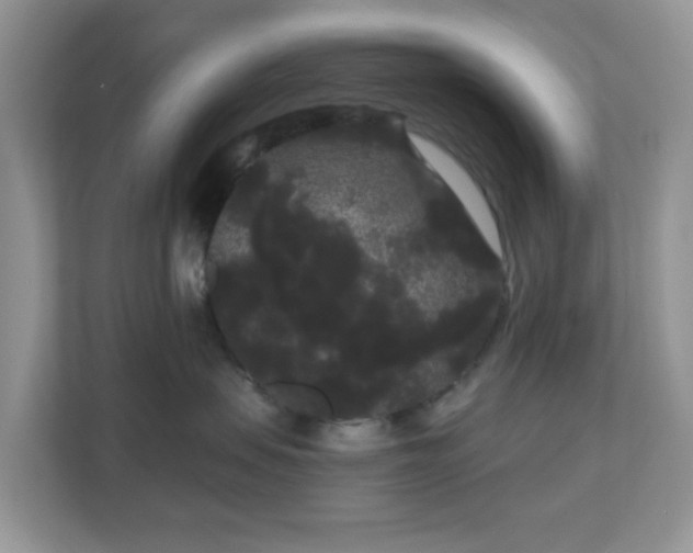 X0000111050479200907021623