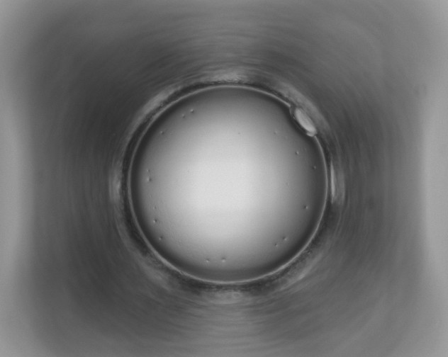 X0000111050483200907021622