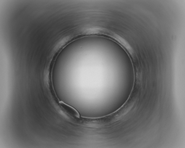 X0000111050485200907021622