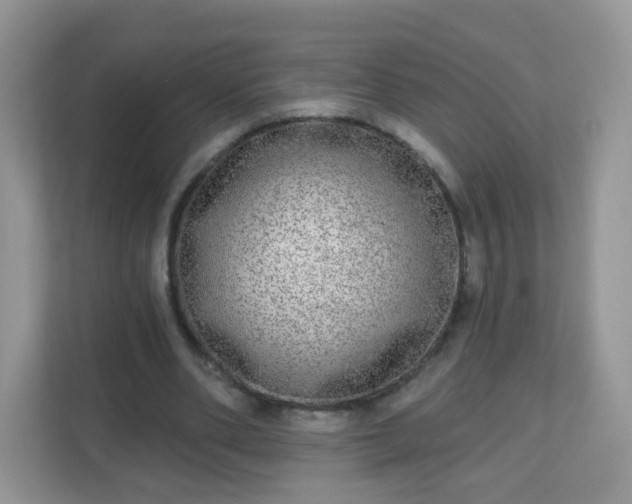 X0000111050486200907021622