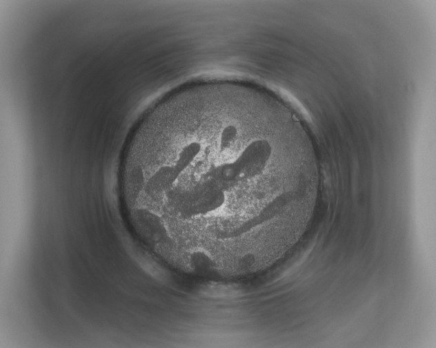 X0000111050487200907021622