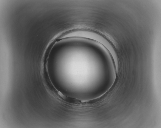 X0000111050488200907021622