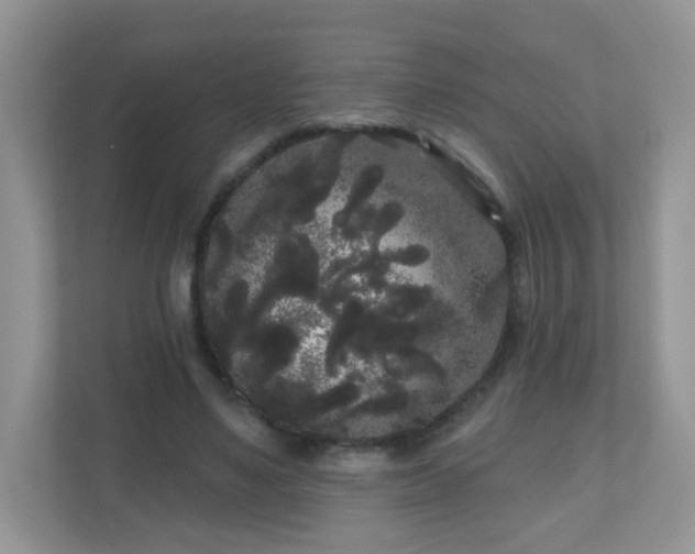 X0000111050491200907021622