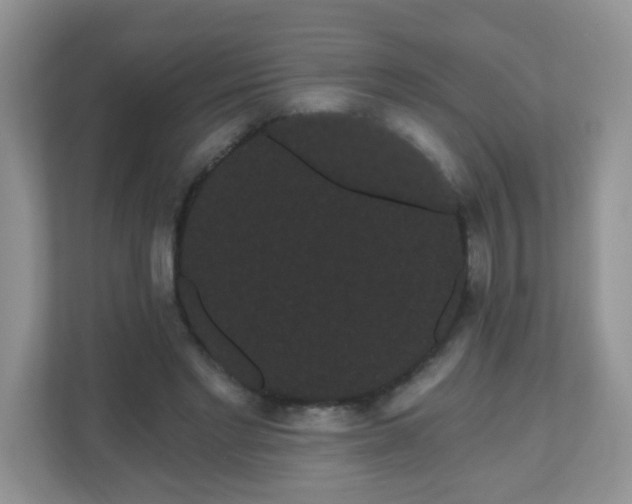 X0000111050493200907021622