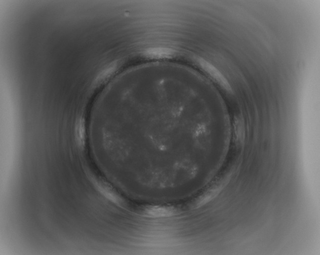 X0000111050494200907021622