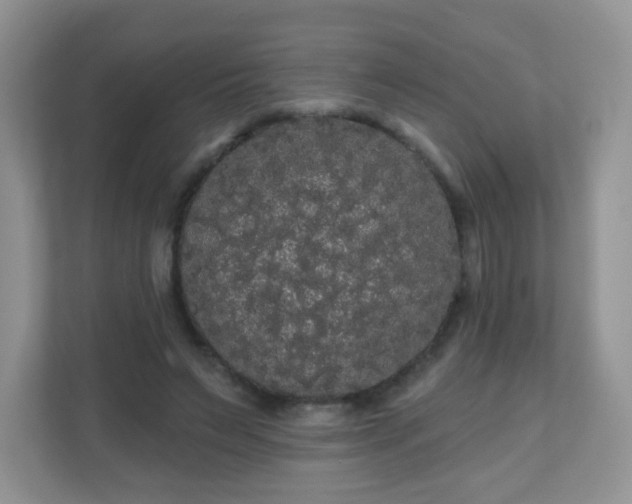 X0000111050495200907021622