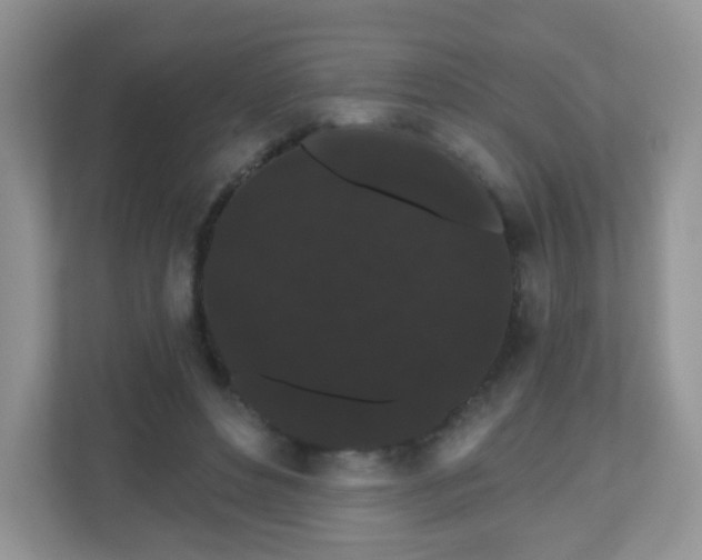 X0000111050496200907021622