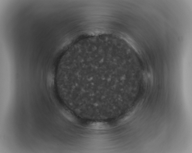 X0000111050499200907021622