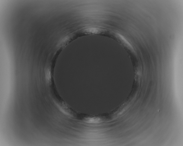 X0000111050500200907021622