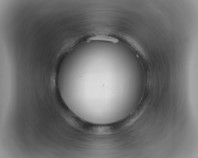 X0000111050501200907021622