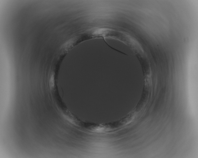 X0000111050504200907021622