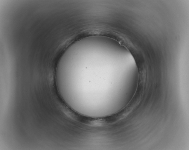 X0000111050505200907021622