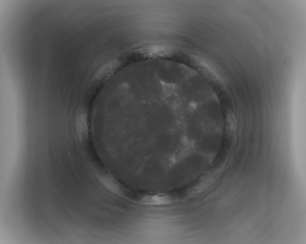 X0000111050506200907021622