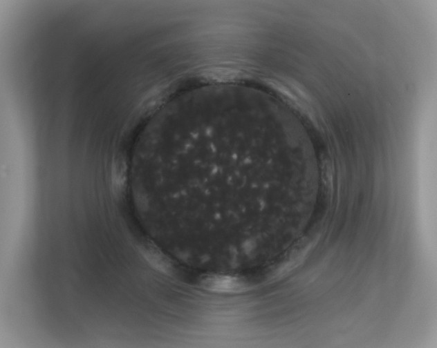 X0000111050507200907021622