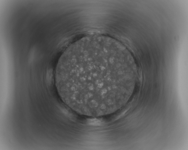 X0000111050511200907021622